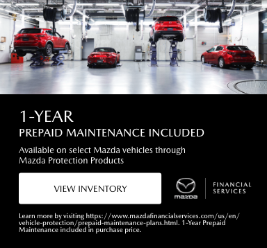 PREPAID_MAINTENANCE