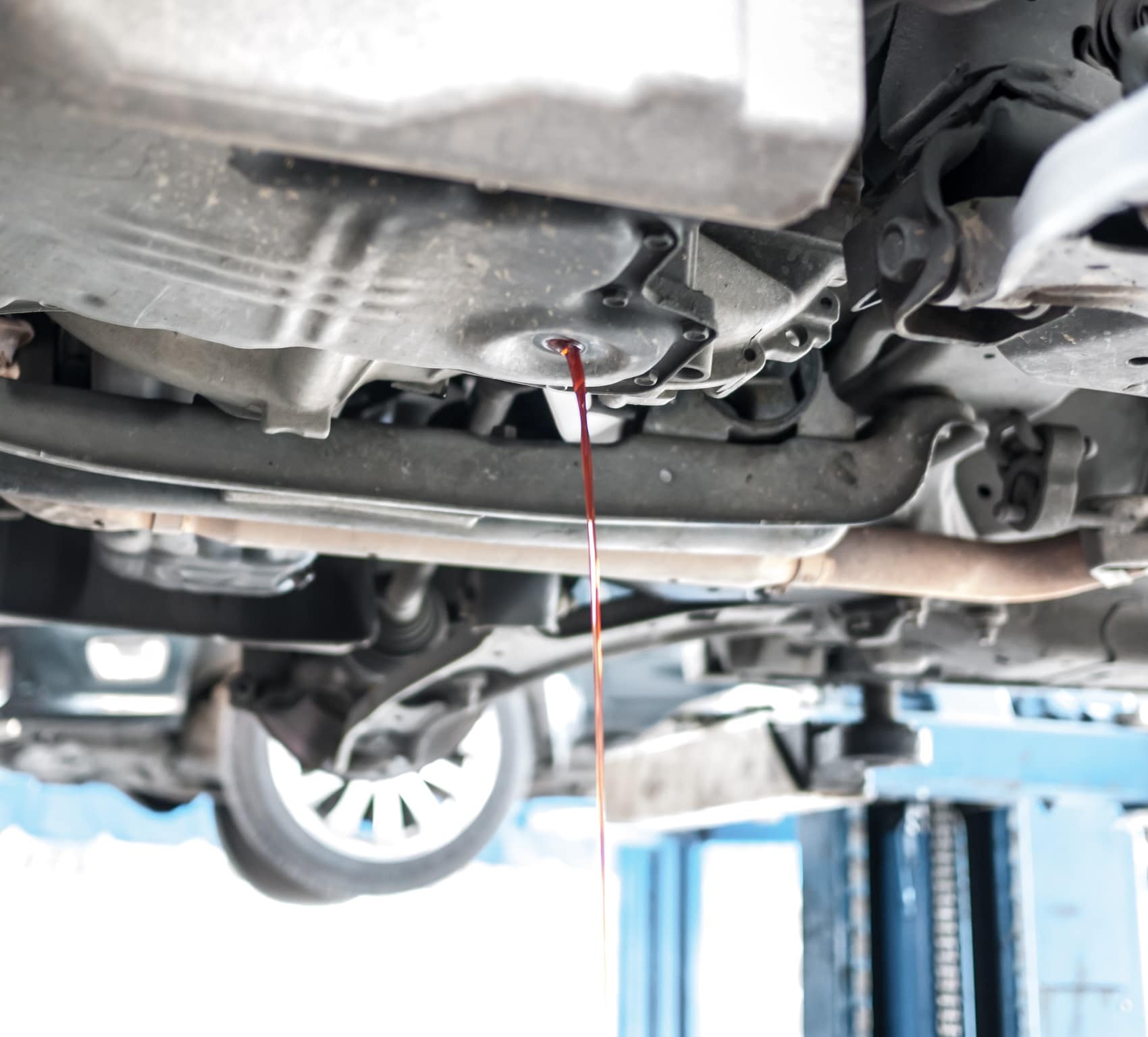 Transmission Fluid